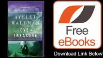 Love and Treasure by Ayelet Waldman Download ePub
