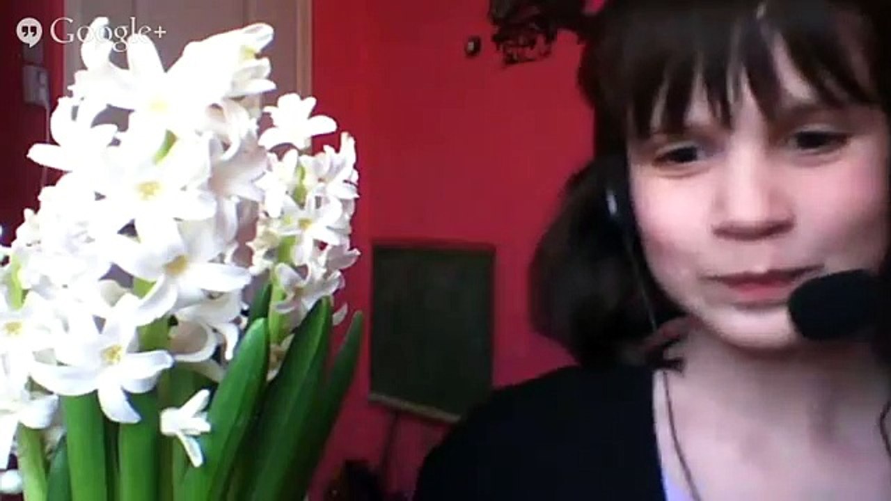 Cukorfalat - Live #2