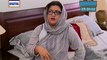 Bulbulay Episode 339 Full on Ary Digital - March 15