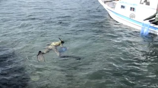 Bodrum'da Deniz ve Kıyı Temizliği