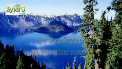 Extraits conférence de Jacques PRUNIER