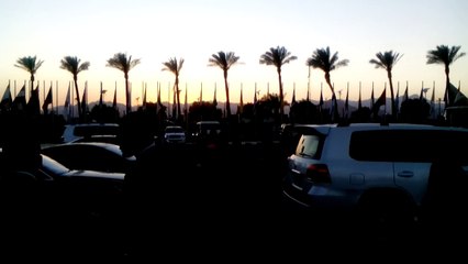 السيارات تجوب شرم الشيخ احتفالا بنجاح المؤتمر الاقتصادي