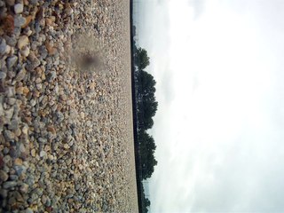 endurance 03z le vigeant finale b 2014