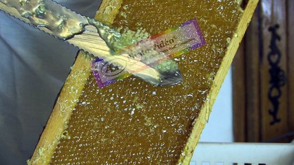 APICULTURE Extrait 3