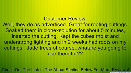 Grodan Rockwool Cubes (1.5 Inches) 45 Per Pack Review