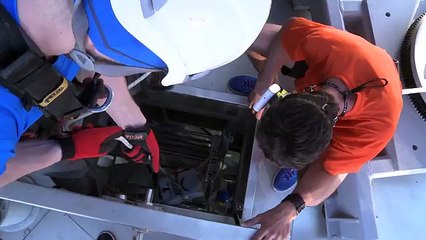 Dubai World Record Eagle Flight (1)