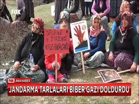 Tokat'ta HES ve Baraj protestosu yapanlara Jandarmadan biber gazi ve plastik mermi