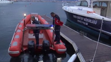 İzmir Ölü Yunus Kıyıya Vurdu