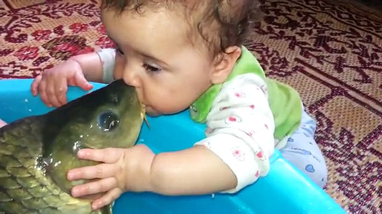 so owsm baby love fish in water