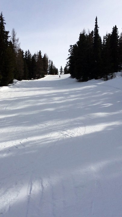 Fred Ski