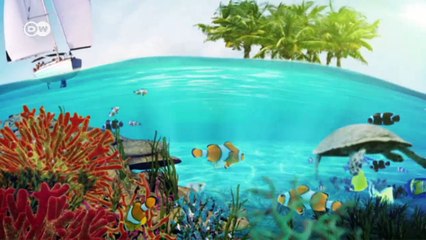 Mozambique: en la reserva natural de las mantarrayas | Global 3000