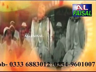 EXECUTIVE  MUHAMMAD ALI ZAHORI