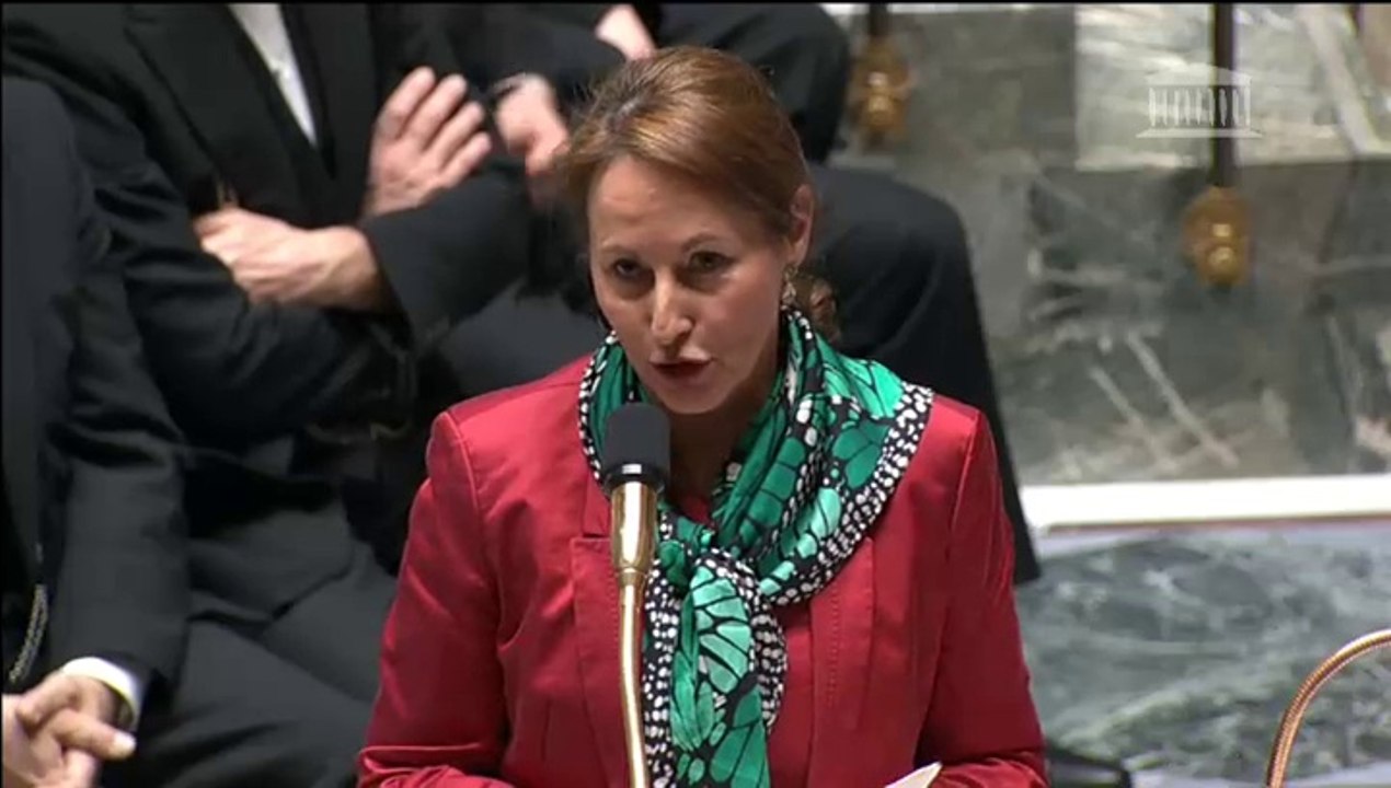 Loi biodiv : S. Royal répond à une QAG de L. Abeille