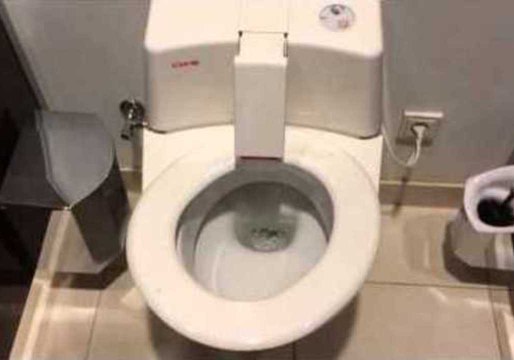 Self-Cleaning German Toilet Should Be in Your House