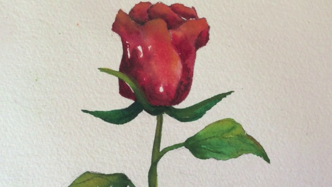 Step-by-step watercolor tutorial ~ how to paint a red Rose