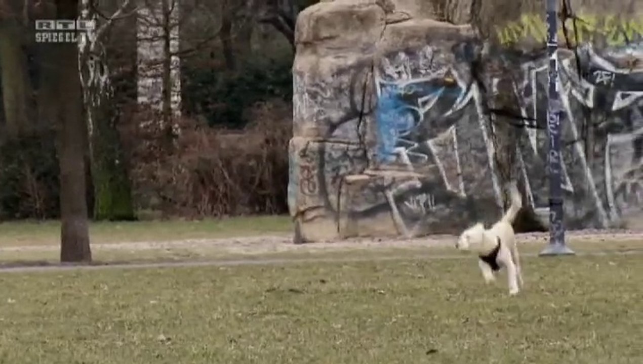 Giftköder (Reportage)