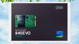 Samsung MZ-MTE250BW 840 EVO 1.8 inch mSATA III Solid State Drive