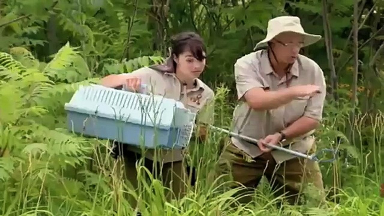 Funny Video Snake Surprise