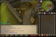 Rs Español l Bots en Edgeville