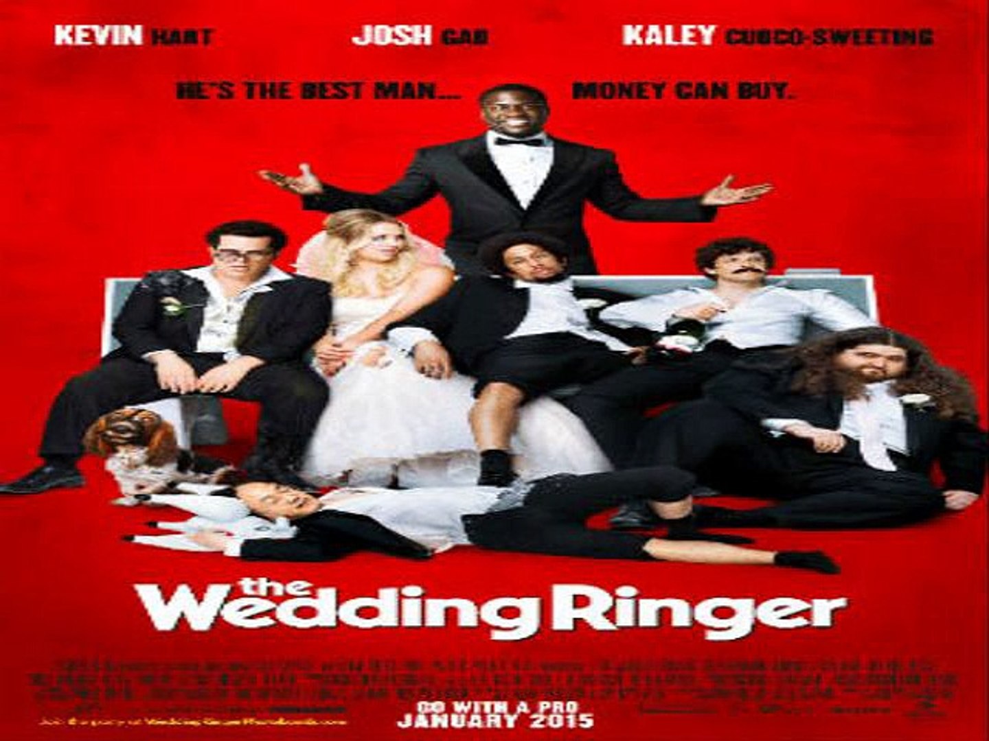 The Wedding Ringer - video Dailymotion