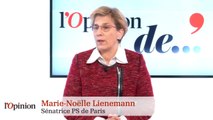 Marie-Noëlle Lienemann - Départementales : « Etre contre le FN ne suffit pas »