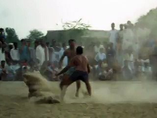 Kabadi Kabadi, the Punjab Rang