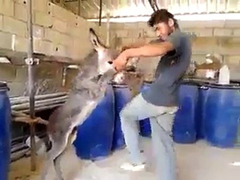 VID-20150315-WA0012.mp4