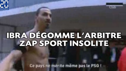 Tải video: Ibra dégomme l'arbitre , le kung-fu de Benzema... ZAP Sport insolite