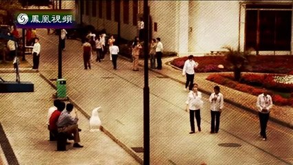 20150313 与梦想同行：打工诗人——羽绒服厂充绒工 吉克阿优