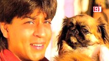 Shahrukh Mourns The death Of His dog!