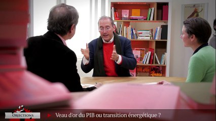 Gaël Giraud: «La transition énergétique est un idéal de société»