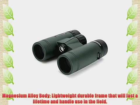 Celestron 71402 TrailSeeker 10x32 Binoculars (Army Green)