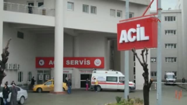 Kocaeli Darıca-Ek- Domuz Gribi; 1 Kişi Öldü, 2 Kişi Tedavi Altında