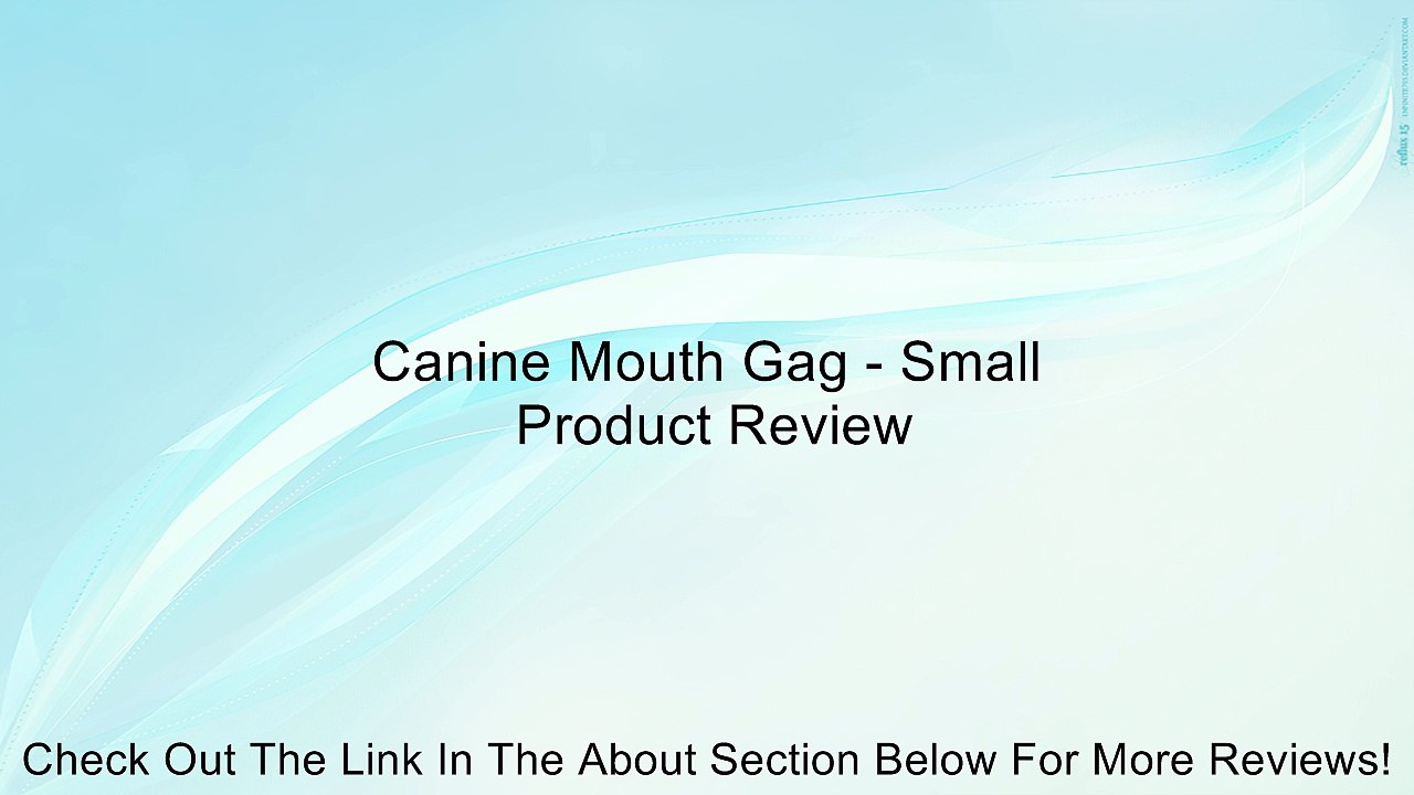 Canine Mouth Gag - Small Review