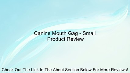 Canine Mouth Gag - Small Review