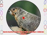 Burris FastFire Red-Dot Reflex Sight - No Mount ( 4 MOA Dot Reticle)