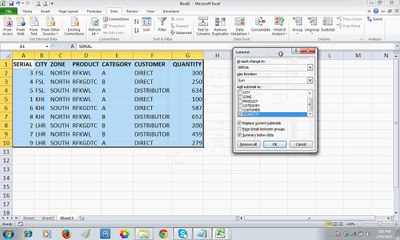 Data Subtotal on Excel