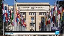 Industrie du coton : l'ONU aux cotés des entreprises africaines