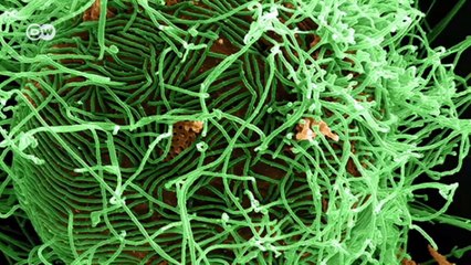 Ebola-Impfstoff - Tests in Westafrika | Projekt Zukunft