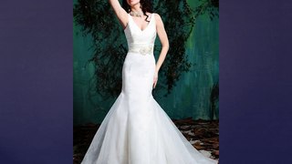 Sexy V neck bridal dresses  for fashion women in 2015