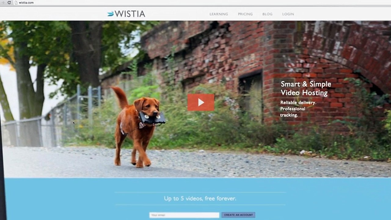 Video SEO Learning Video