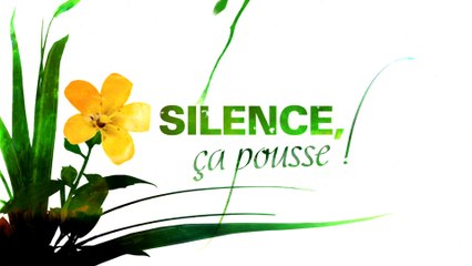 Silence, ça pousse ! (Générique/opening)
