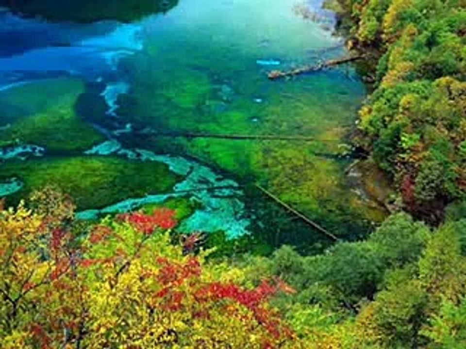Nature_ Beautiful Scenery- Pankaj Jha MBS