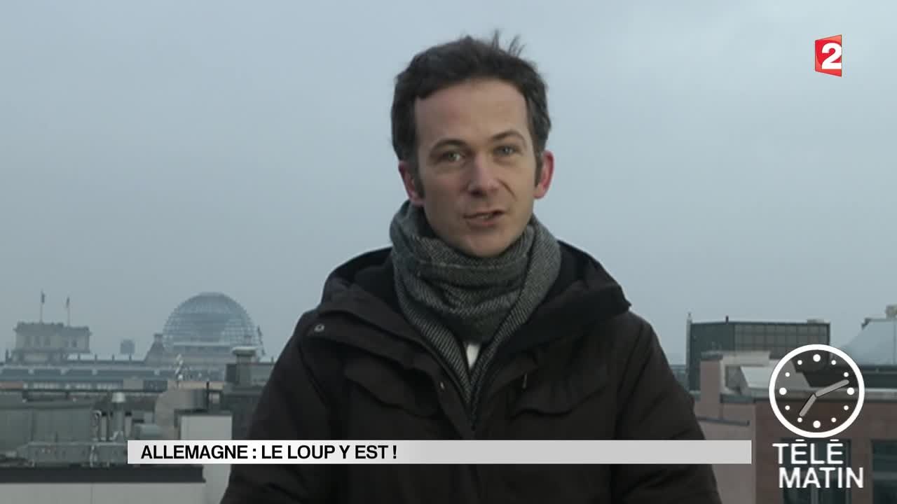 Sans Frontière