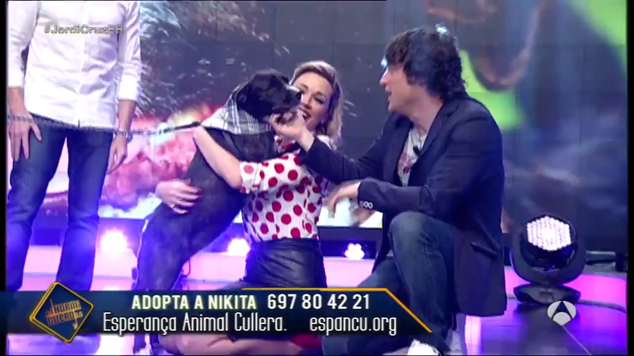 Nikita, la perra superviviente - El Hormiguero 3.0