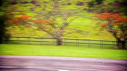 Assistir AUTOESPORTE 15-03-2015 Parte 1/3 Online Completo Íntegra TV Globo HD 720p 15/03/2015