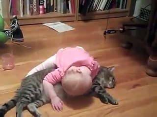 drôle de bébé et le chat
