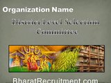 District Level Selection Committee Recruitment 2015 230  Huge Vacancies Latest