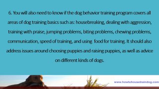 The 10 Most Important Things you Need to Know Before You Choose Your Dog Behavior Training Program