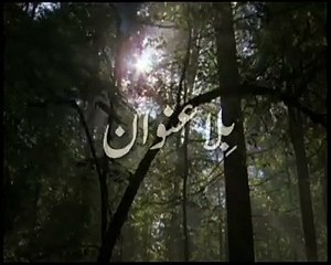 sufi kalam - birds never die for hunger